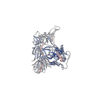 23547_7lwj_B_v1-1
Mink Cluster 5-associated SARS-CoV-2 spike protein (S-GSAS-D614G-delFV) in the 3-RBD down conformation