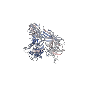 23547_7lwj_C_v2-2
Mink Cluster 5-associated SARS-CoV-2 spike protein (S-GSAS-D614G-delFV) in the 3-RBD down conformation