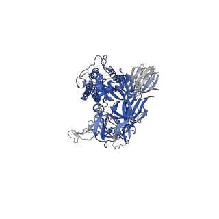 23549_7lwl_B_v1-1
Mink Cluster 5-associated SARS-CoV-2 spike protein (S-GSAS-D614G-delFV) in the 3-RBD down conformation