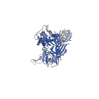 23549_7lwl_B_v2-2
Mink Cluster 5-associated SARS-CoV-2 spike protein (S-GSAS-D614G-delFV) in the 3-RBD down conformation