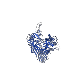 23549_7lwl_C_v1-1
Mink Cluster 5-associated SARS-CoV-2 spike protein (S-GSAS-D614G-delFV) in the 3-RBD down conformation