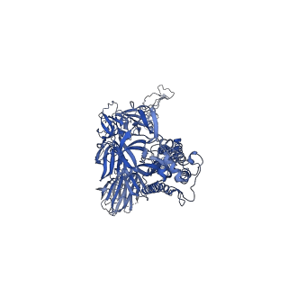 23550_7lwm_C_v1-1
Mink Cluster 5-associated SARS-CoV-2 spike protein (S-GSAS-D614G-delFV) in the 1-RBD up conformation