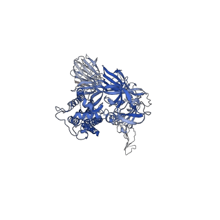 23551_7lwn_A_v2-2
Mink Cluster 5-associated SARS-CoV-2 spike protein (S-GSAS-D614G-delFV) in the 1-RBD up conformation