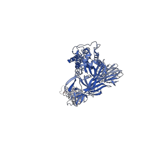 23551_7lwn_B_v1-1
Mink Cluster 5-associated SARS-CoV-2 spike protein (S-GSAS-D614G-delFV) in the 1-RBD up conformation