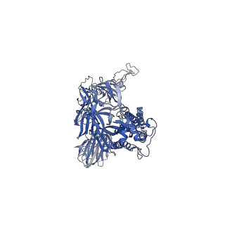 23551_7lwn_C_v1-1
Mink Cluster 5-associated SARS-CoV-2 spike protein (S-GSAS-D614G-delFV) in the 1-RBD up conformation