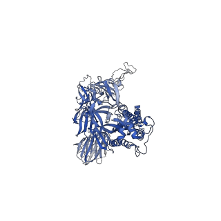 23551_7lwn_C_v2-2
Mink Cluster 5-associated SARS-CoV-2 spike protein (S-GSAS-D614G-delFV) in the 1-RBD up conformation