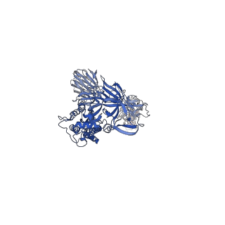 23553_7lwp_A_v1-1
Mink Cluster 5-associated SARS-CoV-2 spike protein (S-GSAS-D614G-delFV) in the 2-RBD up conformation