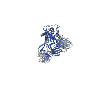 23553_7lwp_B_v1-1
Mink Cluster 5-associated SARS-CoV-2 spike protein (S-GSAS-D614G-delFV) in the 2-RBD up conformation