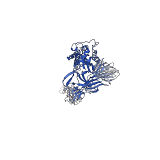 23553_7lwp_B_v2-2
Mink Cluster 5-associated SARS-CoV-2 spike protein (S-GSAS-D614G-delFV) in the 2-RBD up conformation