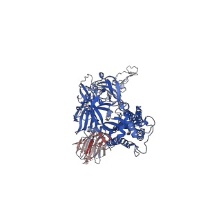 23553_7lwp_C_v1-1
Mink Cluster 5-associated SARS-CoV-2 spike protein (S-GSAS-D614G-delFV) in the 2-RBD up conformation