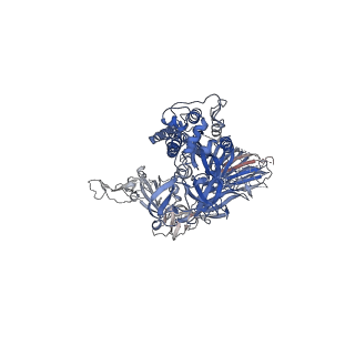 23554_7lwq_A_v2-2
Mink Cluster 5-associated SARS-CoV-2 spike protein(S-GSAS-D614G-delFV) missing the S1 subunit and SD2 subdomain of one protomer