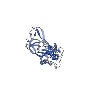 23554_7lwq_B_v2-2
Mink Cluster 5-associated SARS-CoV-2 spike protein(S-GSAS-D614G-delFV) missing the S1 subunit and SD2 subdomain of one protomer