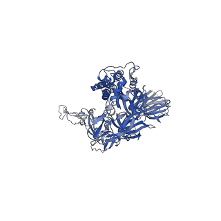 23555_7lws_A_v1-1
UK (B.1.1.7) SARS-CoV-2 S-GSAS-D614G variant spike protein in the 3-RBD-down conformation