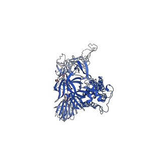 23555_7lws_B_v2-0
UK (B.1.1.7) SARS-CoV-2 S-GSAS-D614G variant spike protein in the 3-RBD-down conformation