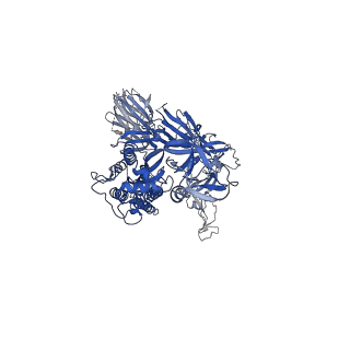 23555_7lws_C_v1-1
UK (B.1.1.7) SARS-CoV-2 S-GSAS-D614G variant spike protein in the 3-RBD-down conformation