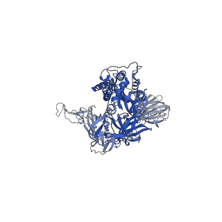 23556_7lwt_A_v2-2
UK (B.1.1.7) SARS-CoV-2 spike protein variant (S-GSAS-B.1.1.7) in the 1-RBD-up conformation