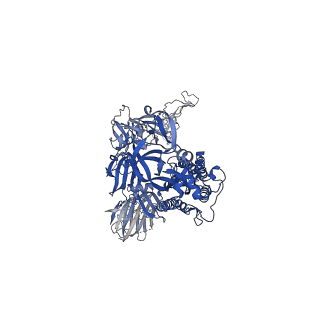 23557_7lwu_C_v2-2
UK (B.1.1.7) SARS-CoV-2 spike protein variant (S-GSAS-B.1.1.7) in the 1-RBD-up conformation