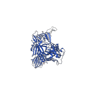 23558_7lwv_C_v1-1
UK (B.1.1.7) SARS-CoV-2 spike protein variant (S-GSAS-B.1.1.7) in the 1-RBD-up conformation
