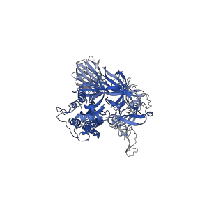 23559_7lww_A_v2-2
Triple mutant (K417N-E484K-N501Y) SARS-CoV-2 spike protein in the 1-RBD-up conformation (S-GSAS-D614G-K417N-E484K-N501Y)