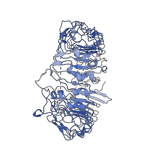30002_6lw1_B_v1-0
Cryo-EM structure of TLR7/Cpd-7 (DSR-139970) complex in open form