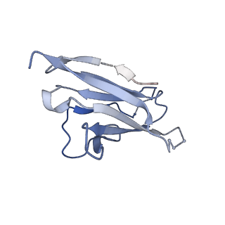 23564_7lx2_M_v1-1
Cryo-EM structure of ConSOSL.UFO.664 (ConS) in complex with bNAb PGT122