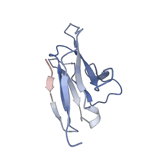 23564_7lx2_O_v1-1
Cryo-EM structure of ConSOSL.UFO.664 (ConS) in complex with bNAb PGT122