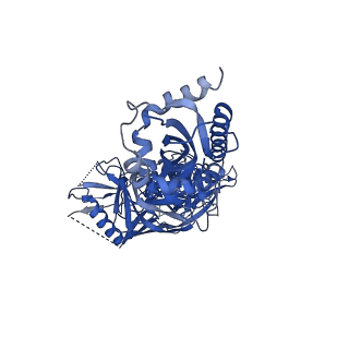 23565_7lx3_A_v1-1
Cryo-EM structure of EDC-crosslinked ConSOSL.UFO.664 (ConS-EDC) in complex with bNAb PGT122