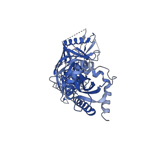 23565_7lx3_B_v1-1
Cryo-EM structure of EDC-crosslinked ConSOSL.UFO.664 (ConS-EDC) in complex with bNAb PGT122