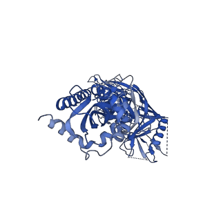 23565_7lx3_C_v1-1
Cryo-EM structure of EDC-crosslinked ConSOSL.UFO.664 (ConS-EDC) in complex with bNAb PGT122