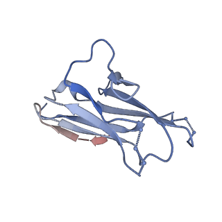 23565_7lx3_M_v1-1
Cryo-EM structure of EDC-crosslinked ConSOSL.UFO.664 (ConS-EDC) in complex with bNAb PGT122