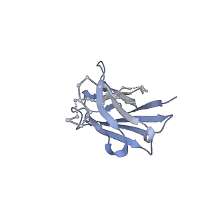 23565_7lx3_P_v1-1
Cryo-EM structure of EDC-crosslinked ConSOSL.UFO.664 (ConS-EDC) in complex with bNAb PGT122