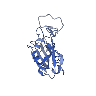 23566_7lx5_B_v1-0
The SARS-CoV-2 spike protein receptor binding domain bound to neutralizing nanobodies WNb 2 and WNb 10