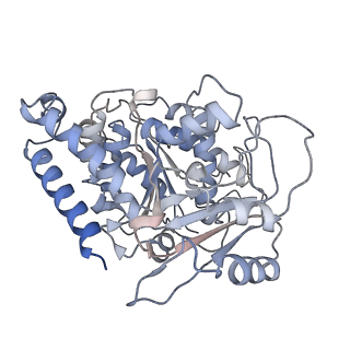 23569_7lxb_A_v1-2
HeLa-tubulin in complex with cryptophycin 52