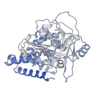 23569_7lxb_C_v1-2
HeLa-tubulin in complex with cryptophycin 52