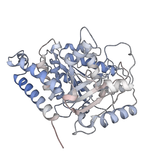 23569_7lxb_D_v1-2
HeLa-tubulin in complex with cryptophycin 52