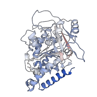 23569_7lxb_E_v1-2
HeLa-tubulin in complex with cryptophycin 52