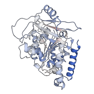 23569_7lxb_G_v1-2
HeLa-tubulin in complex with cryptophycin 52