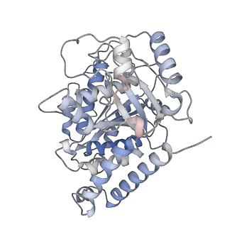 23569_7lxb_H_v1-2
HeLa-tubulin in complex with cryptophycin 52