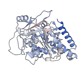 23569_7lxb_I_v1-2
HeLa-tubulin in complex with cryptophycin 52