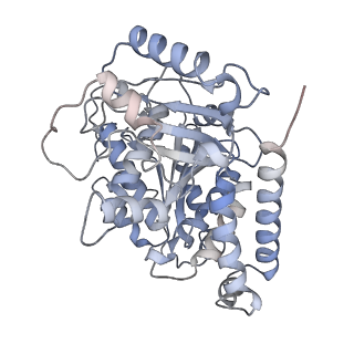 23569_7lxb_J_v1-2
HeLa-tubulin in complex with cryptophycin 52