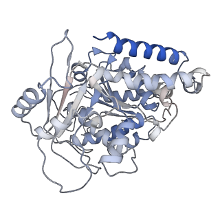 23569_7lxb_K_v1-2
HeLa-tubulin in complex with cryptophycin 52