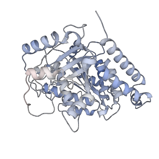 23569_7lxb_L_v1-2
HeLa-tubulin in complex with cryptophycin 52