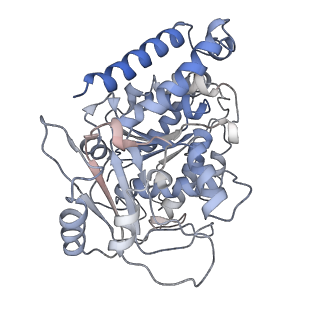 23569_7lxb_M_v1-2
HeLa-tubulin in complex with cryptophycin 52