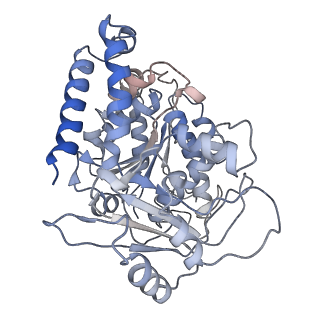 23569_7lxb_O_v1-2
HeLa-tubulin in complex with cryptophycin 52