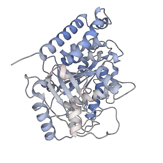 23569_7lxb_P_v1-2
HeLa-tubulin in complex with cryptophycin 52