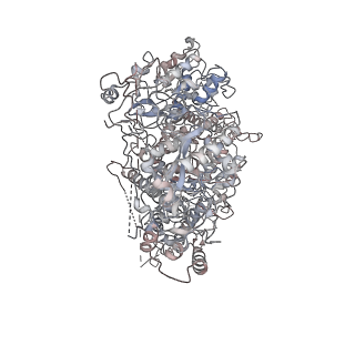 23570_7lxd_A_v1-1
Structure of yeast DNA Polymerase Zeta (apo)