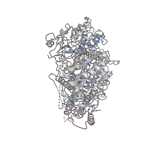 23570_7lxd_A_v1-2
Structure of yeast DNA Polymerase Zeta (apo)