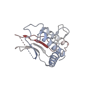 23570_7lxd_D_v1-1
Structure of yeast DNA Polymerase Zeta (apo)