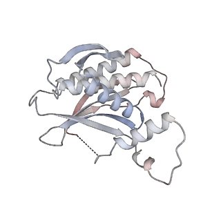 23570_7lxd_E_v1-1
Structure of yeast DNA Polymerase Zeta (apo)