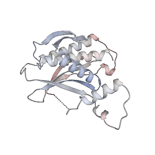 23570_7lxd_E_v1-2
Structure of yeast DNA Polymerase Zeta (apo)